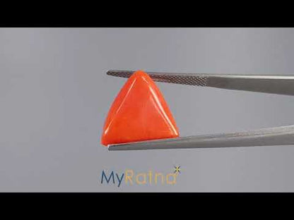 Red Coral (Moonga) - 13.12 Carats