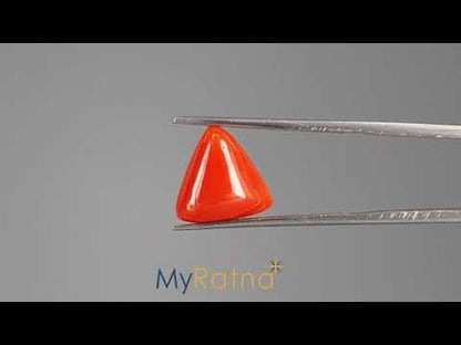 Red Coral (Moonga) - 5.66 Carats