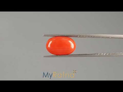 Red Coral (Moonga) - 5.97 Carats