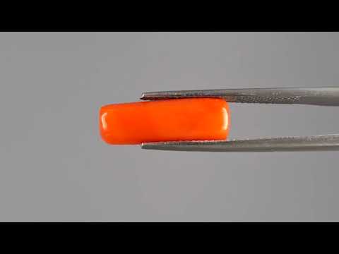 Red Coral (Moonga) - 4.78 Carats