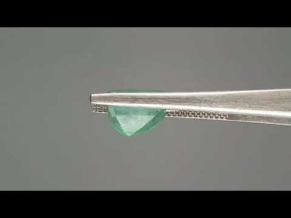 Emerald (Panna) - 3.62 Carats