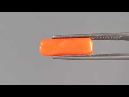 Red Coral (Moonga) - 4.04 Carats