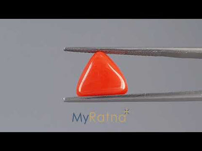 Red Coral (Moonga) - 4.02 Carats