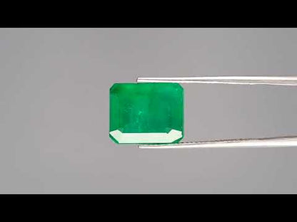 Emerald - 9.50 Carats (Panna - 10.36 Ratti)
