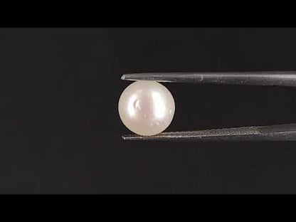 South Sea Pearl - 3.94 Carats (Moti - 4.29 Ratti)