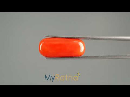 Red Coral (Moonga) - 12.84 Carats