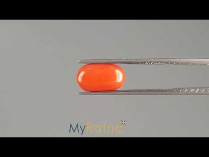 Red Coral (Moonga) - 4.17 Carats