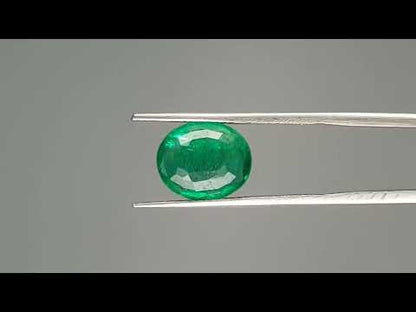 Emerald (Panna) - 3.12 Carats