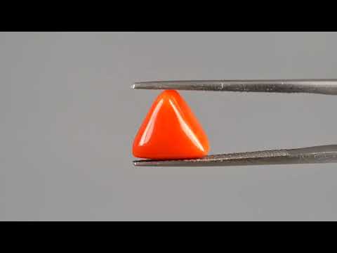 Red Coral (Moonga) - 3.10 Carats