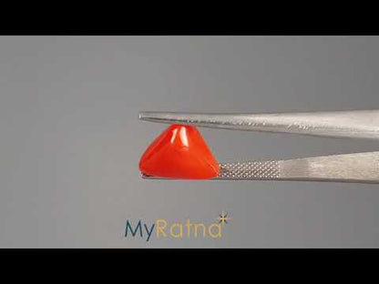 Red Coral - 5.01 Carats (Moonga - 5.46 Ratti)