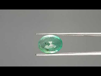 Emerald (Panna) - 2.68 Carats