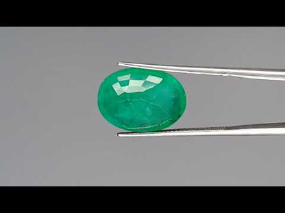 Emerald (Panna) - 8.69 Carats