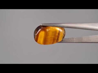 Tiger Eye - 14.53 Carats