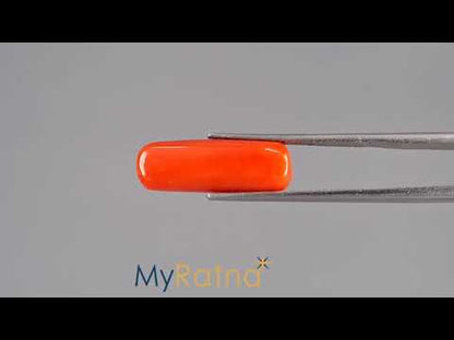 Red Coral (Moonga) - 9.06 Carats
