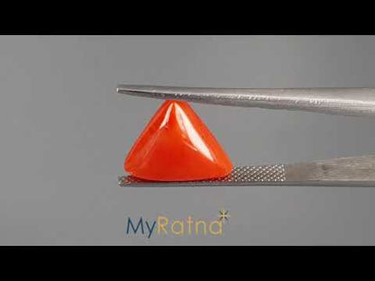 Red Coral - 5.60 Carats (Moonga - 6.10 Ratti)