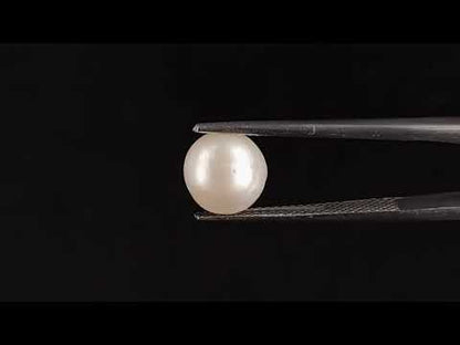 Keshi Pearl - 3.80 Carats (Moti - 4.14 Ratti)