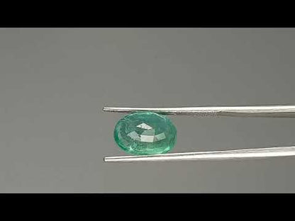Emerald (Panna) - 3.50 Carats