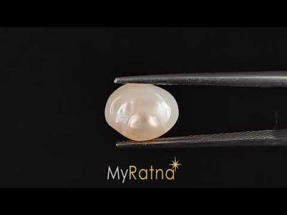 Venezuela Pearl - 3.33 Carats (Moti - 3.63 Ratti)