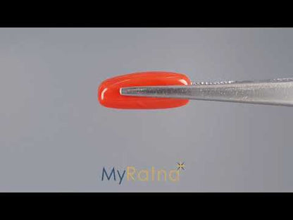 Red Coral (Moonga) - 6.50 Carats