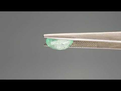 Emerald (Panna) - 2.62 Carats