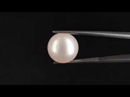South Sea Pearl - 18.84 Carats (Moti - 20.54 Ratti)
