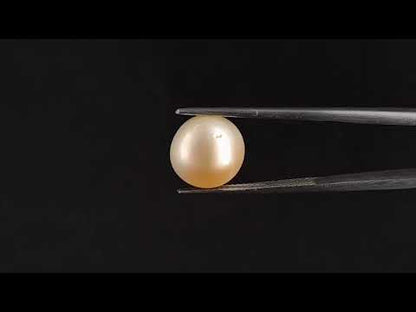 South Sea Pearl - 8.28 Carats (Moti - 9.03 Ratti)