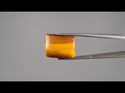 Tiger Eye - 13.06 Carats