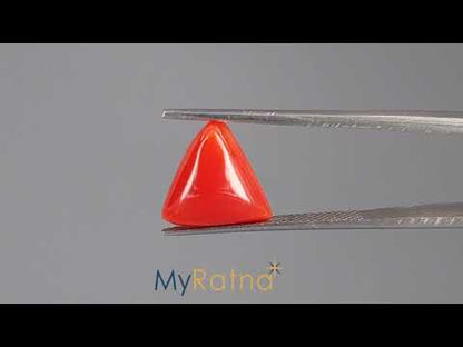Red Coral (Moonga) - 5.09 Carats