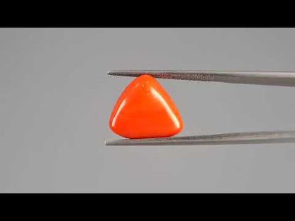 Red Coral (Moonga) - 10.85 Carats