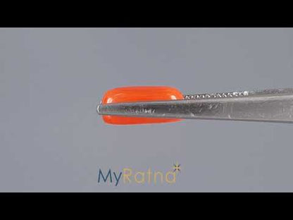 Red Coral (Moonga) - 3.95 Carats
