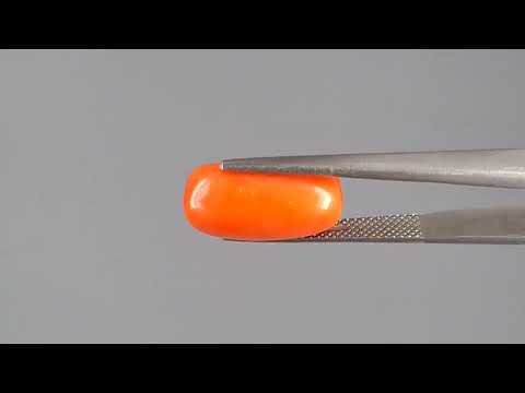Red Coral - 8.17 Carats (Moonga - 8.91 Ratti)
