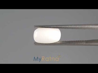White Coral - 3.49 Carats