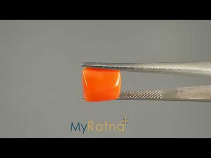 Red Coral (Moonga) - 5.53 Carats