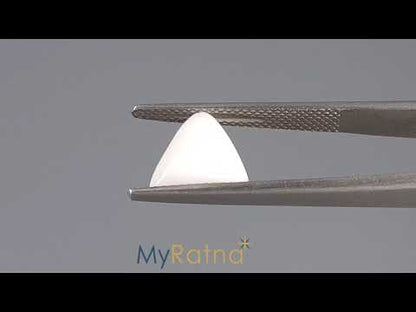 White Coral - 2.62 Carats