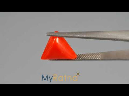 Red Coral (Moonga) - 6.59 Carats