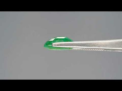 Emerald (Panna) - 4.09 Carats