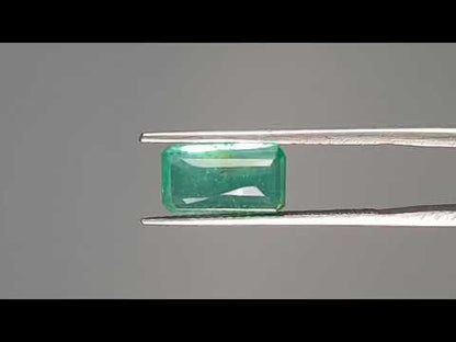Emerald (Panna) - 3.02 Carats