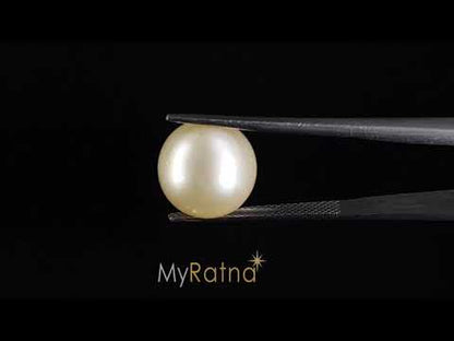 South Sea Pearl (Moti) - 11.93 Carats