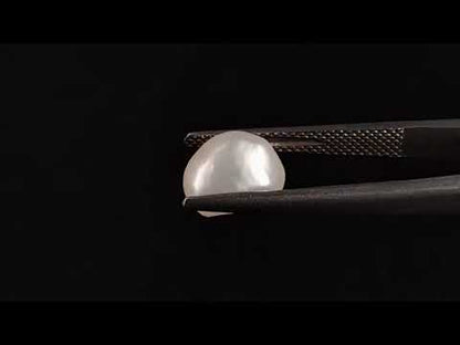 Keshi Pearl - 3.21 Carats (Moti - 3.50 Ratti)