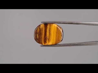 Tiger Eye - 10.31 Carats