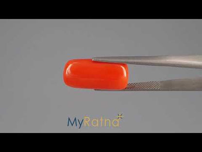 Red Coral - 17.69 Carats (Moonga - 19.28 Ratti)