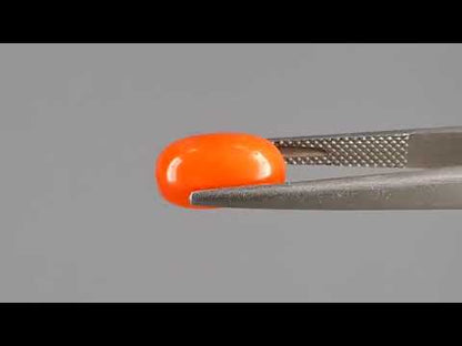 Red Coral - 4.07 Carats (Moonga - 4.44 Ratti)