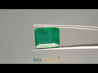 Emerald - 10.01 Carats (Panna - 10.91 Ratti)