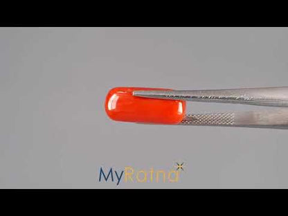 Red Coral (Moonga) - 7.35 Carats