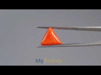 Red Coral (Moonga) - 5.39 Carats