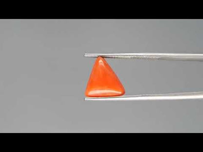 Red Coral - 3.88 Carats (Moonga - 4.23 Ratti)