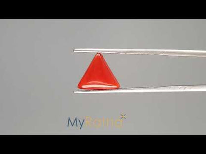 Red Coral (Moonga) - 3.38 Carats