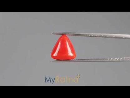 Red Coral (Moonga) - 6.04 Carats