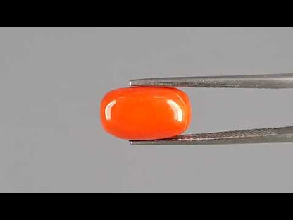 Red Coral - 5.07 Carats (Moonga - 5.53 Ratti)