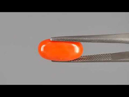 Red Coral - 5.59 Carats (Moonga - 6.09 Ratti)